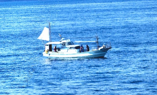 ドテラ流しとは｜ドテラ流しでタイラバのヒット率をアップする方法