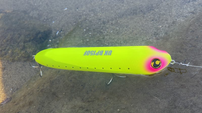 浮き姿勢|マルジン UKビッグペン 150F,インプレ