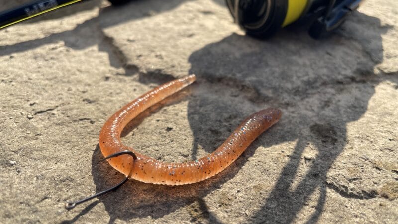 ワッキー｜ノーシンカー,使い方,釣り方