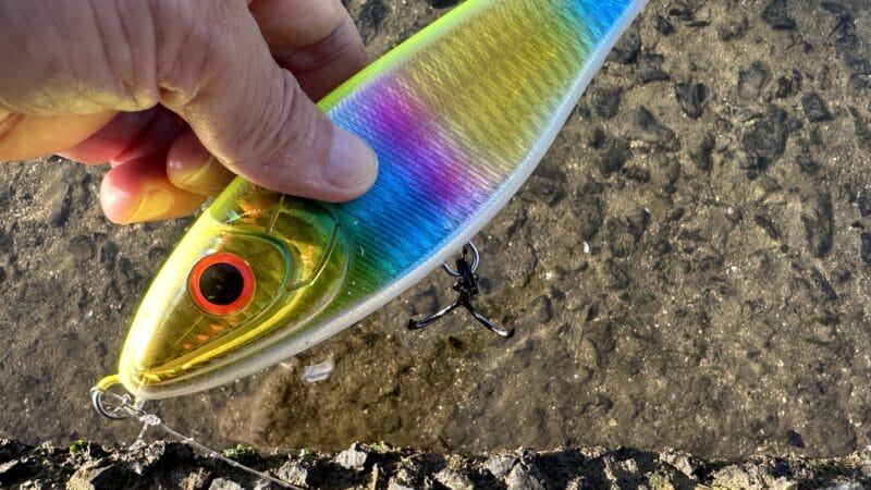 フック|ビッグバンディット,インプレ