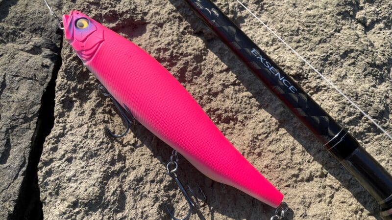 メガドッグは投げれるのか？｜エクスセンス ジェノス b80h,インプレ,ビッグベイト,ベイトロッド