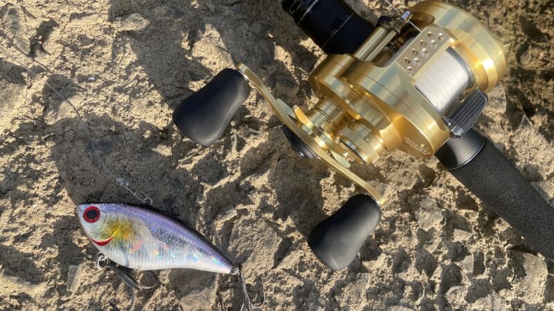 軽いルアーもOK｜エクスセンス ジェノス b80h,インプレ,ビッグベイト,ベイトロッド