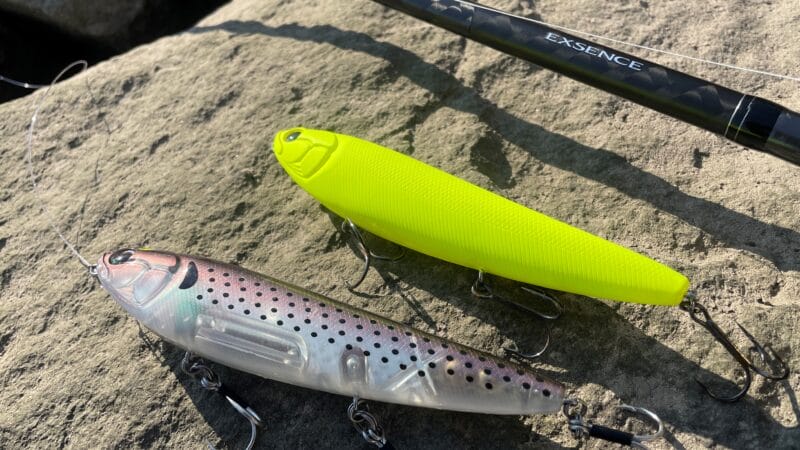 アマペン試投｜エクスセンス ジェノス b80h,インプレ,ビッグベイト,ベイトロッド
