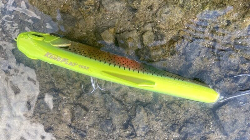 浮き姿勢｜コノフラット190F,インプレ