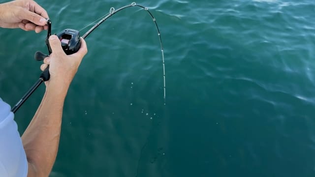 アワセの基本｜タイラバ,アワセ方,アタリ