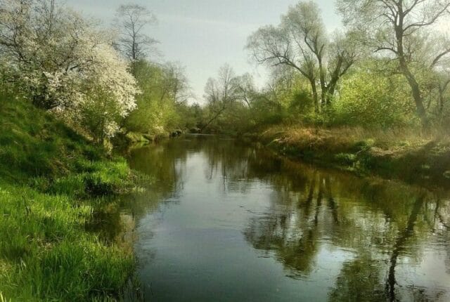 ポイント|バス釣り,冬,釣り方,釣れる,ルアー