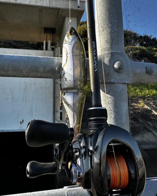 コスパが高い!|ディアルーナB80XH,インプレ,ビッグベイト,リール,シマノ