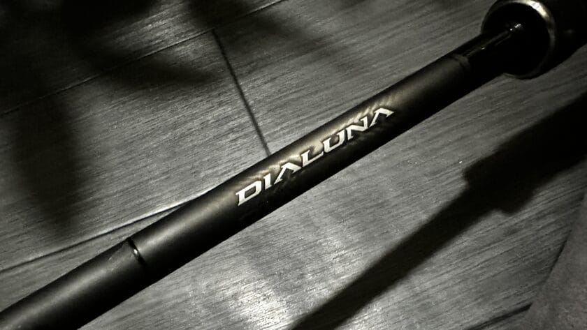 見た目|ディアルーナB80XH,インプレ,ビッグベイト,リール,シマノ