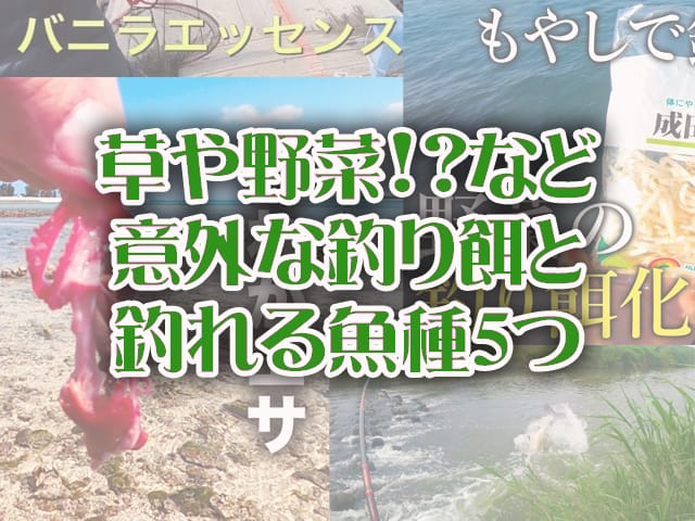 草や野菜!?など意外な釣り餌と釣れる魚種,動画