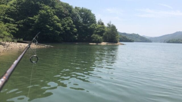 ポイント｜ワカサギパターン,釣り方,おすすめルアー