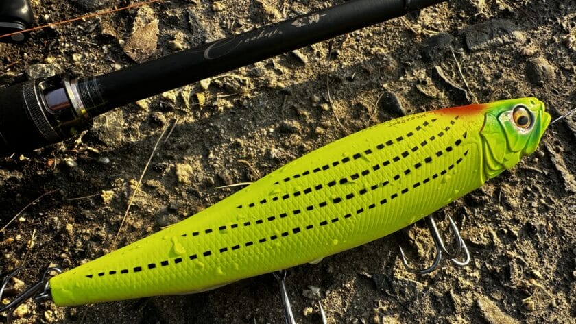 メガドッグ 220のインプレ！優れた性能を引き出す上手な使い方や