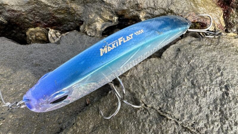 アクション|マキフラット155F,インプレ,シーバス,ビッグベイト