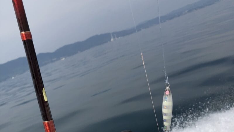 プロテクトリーダーを結ぶ|サワラ,ラインを切られる,対処法,ブレードジギング,サワラキャスティング