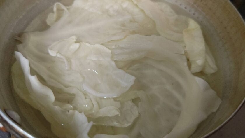 キャベツを湯掻く｜白身魚のロールキャベツ,つくり方,レシピ,釣果メシ