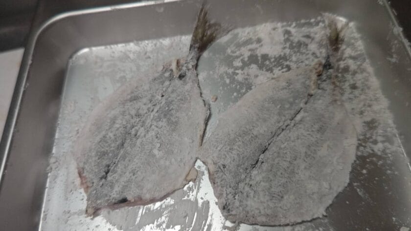 下味をして粉をはたく|アジとサンマのヤンニョムフィッシュ,レシピ,釣果メシ