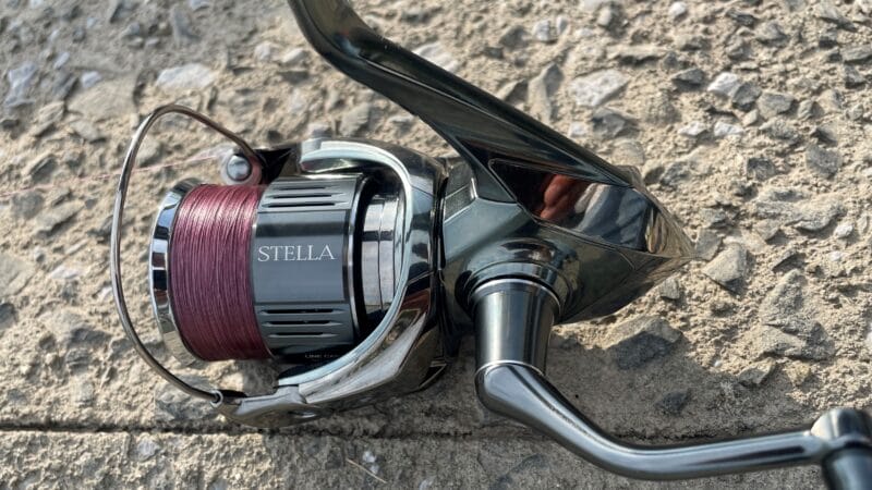 適している釣り種｜22ステラ,インプレ,リール,シマノ