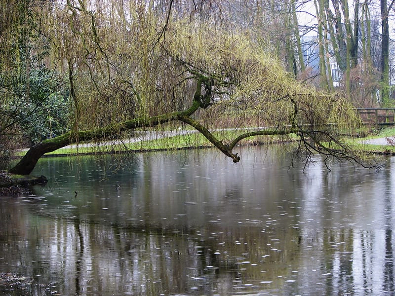 攻略ポイント|野池,バス釣り攻略,釣り方,おすすめルアー