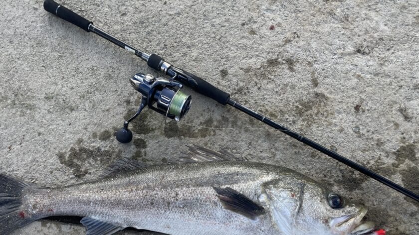 タックルバランス｜シーバス,リール,おすすめ,スピニングリール,ダイワ,シマノ