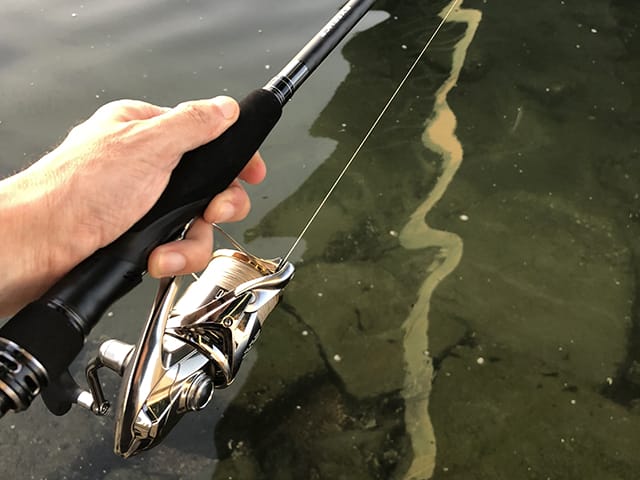 ∞(インフィニティ)との違い｜18エクスセンスジェノス,インプレ,シーバスロッド