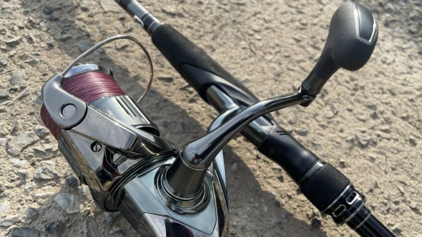 ハイギアorローギア｜シーバス,リール,おすすめ,スピニングリール,ダイワ,シマノ