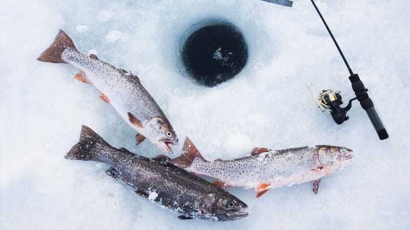 アイスフィッシング,釣り方,タックル,道具