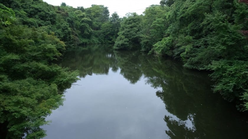 野池の種類|野池,バス釣り攻略,釣り方,おすすめルアー