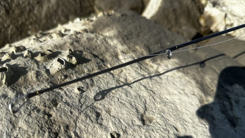 ティップ｜24ラテオ,93M/MH,インプレ,シーバスロッド,ダイワ