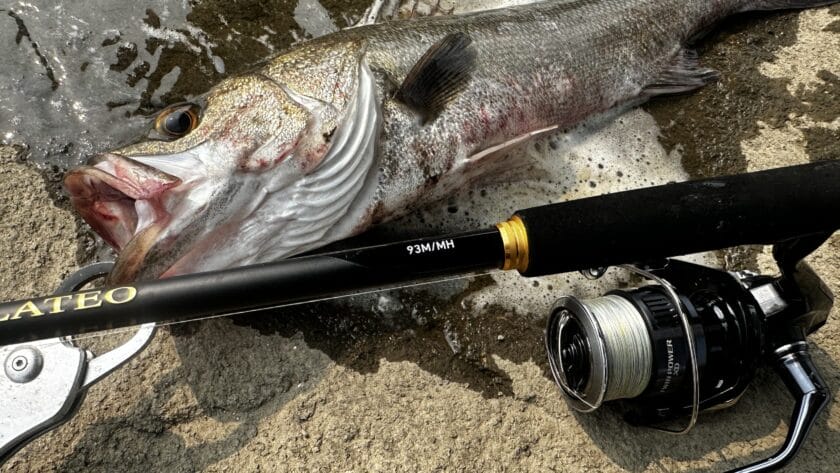 合わせるリール｜24ラテオ,93M/MH,インプレ,シーバスロッド,ダイワ