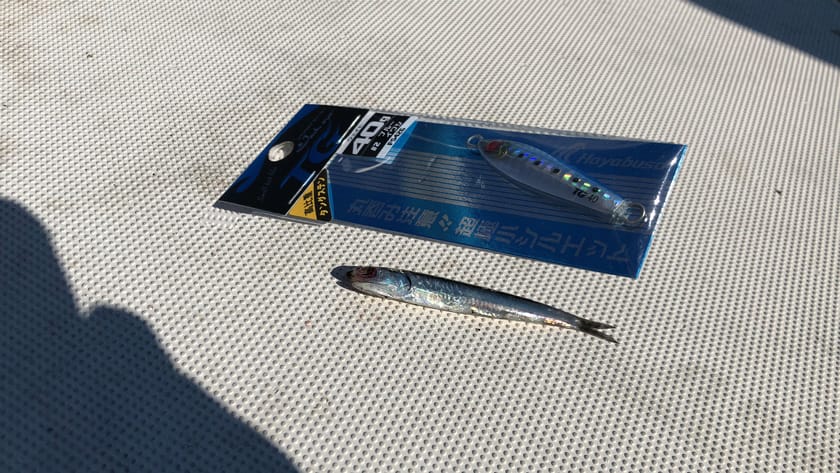 ジグのシルエットは小さく|ブレードジギング,冬,11月,12月