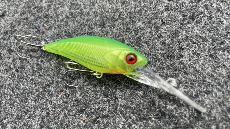 シャッド,ハードルアー｜バス釣りのスピニングに適したルアーとワーム&リグ