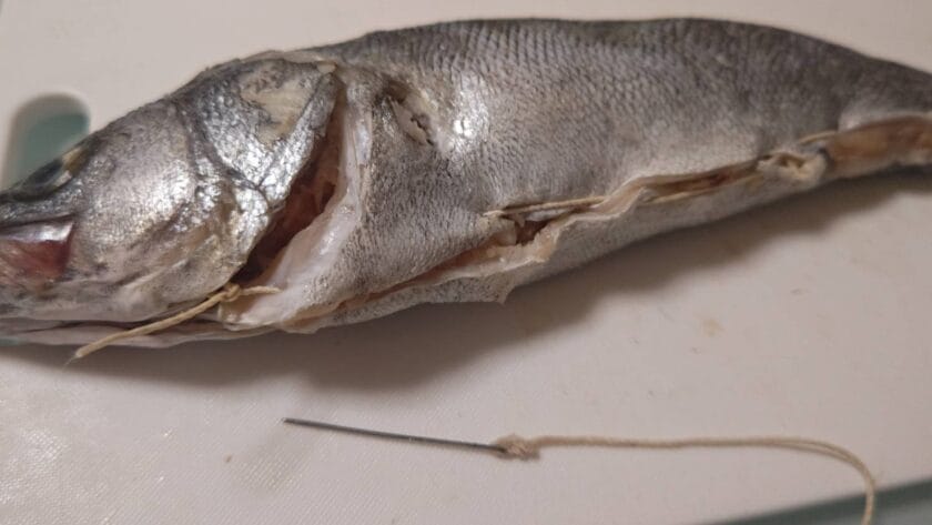 紐で縫い止めする|すずきのレリエノ,クリスマスフィッシュ,つくり方,レシピ,釣果メシ