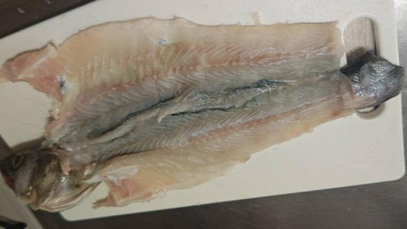 身を削ぎ取る|すずきのレリエノ,クリスマスフィッシュ,つくり方,レシピ,釣果メシ