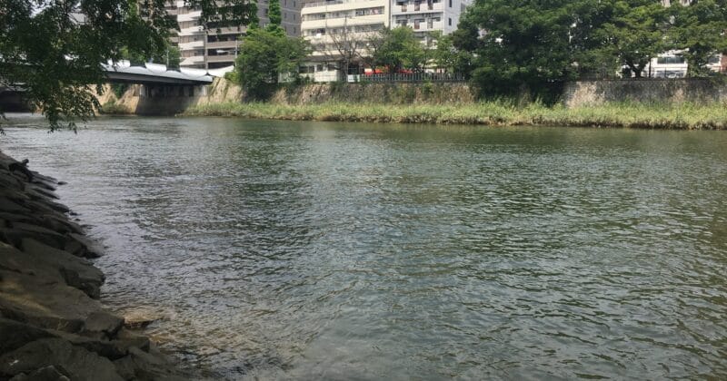 ポイントの見つけ方|チニング,冬,釣り方,ルアー,タックル