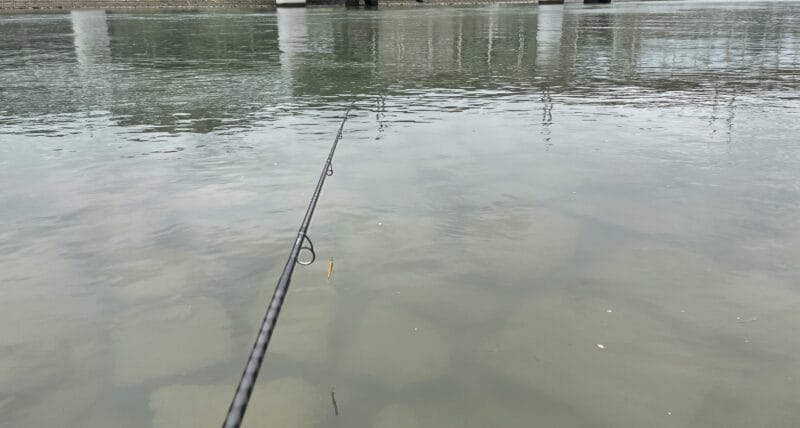 おすすめのロッド|チニング,冬,釣り方,ルアー,タックル