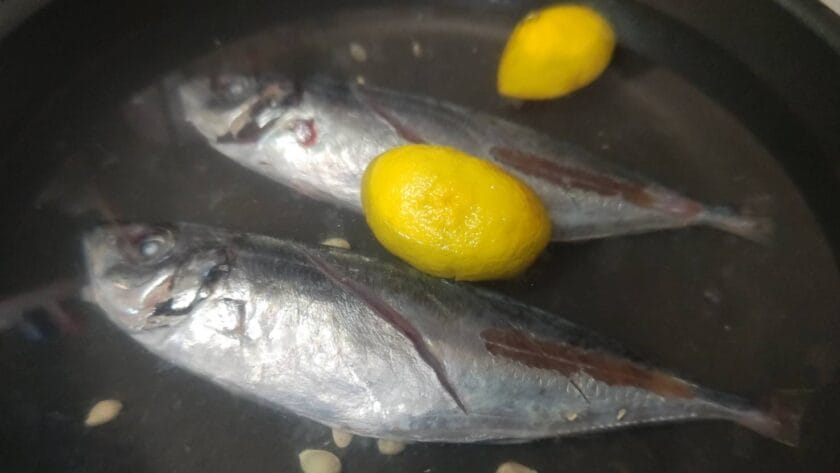 茹でる｜アジの塩ゆで・花柚仕立て,レシピ,つくり方,釣果メシ