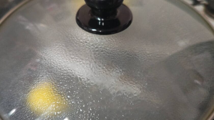 蓋をして弱火で茹でる｜アジの塩ゆで・花柚仕立て,レシピ,つくり方,釣果メシ