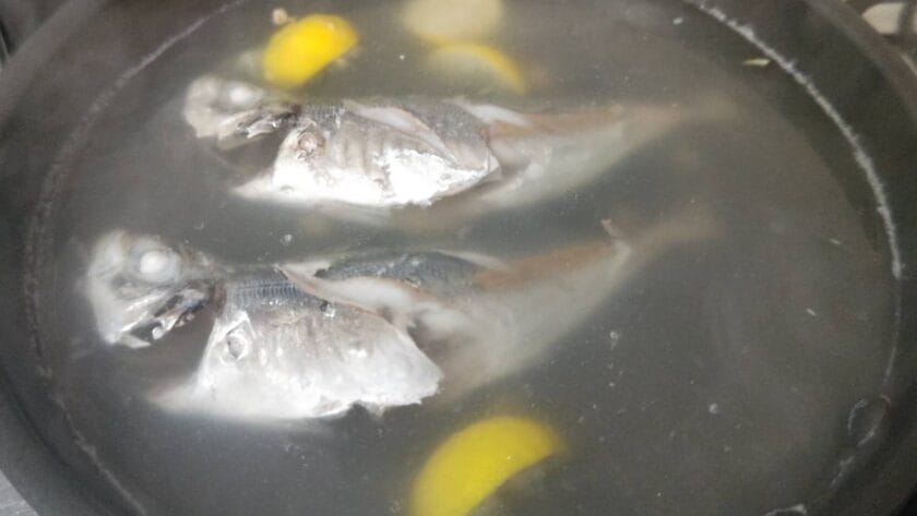 茹で上がり｜アジの塩ゆで・花柚仕立て,レシピ,つくり方,釣果メシ