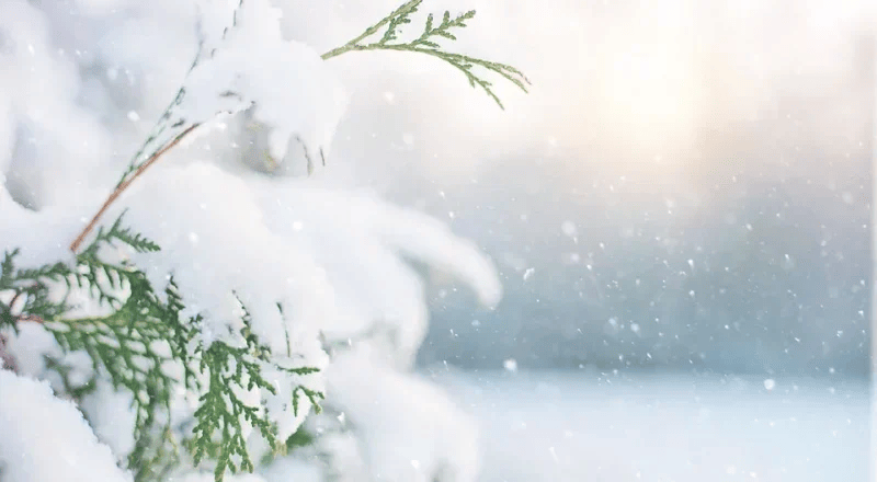 冬の特徴｜エギング,時期,シーズン,釣り方