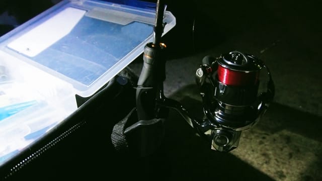 春のナイトエギング｜春エギング,おすすめエギ,釣り方,しゃくり方,時間