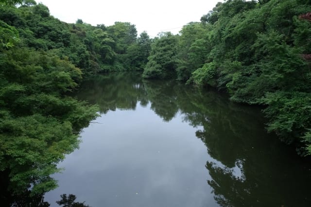 デカバスは上のレンジから｜春,バス釣り,野池,釣り方,ルアー