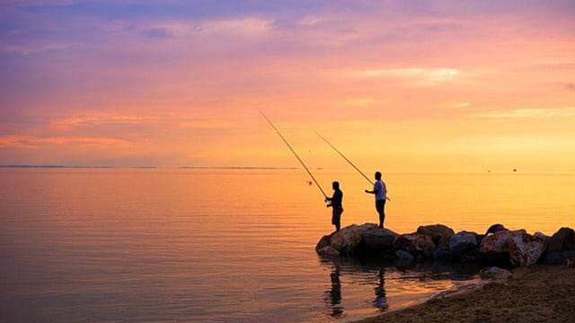 夏｜シーバス,時期,釣り方,パターン,おすすめルアー