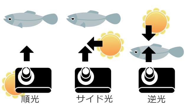 光の種類とその効果｜釣果写真,撮り方,インスタ,映え,自撮り