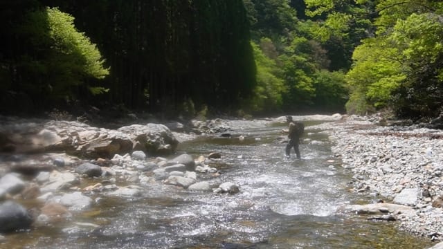 解禁日とルール｜春,渓流釣り,服装,ルアー,釣り方