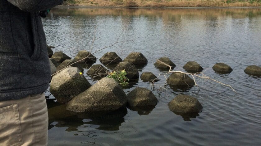 ポイント選び|スモールマウスバス,釣れる場所,ポイント,釣り方