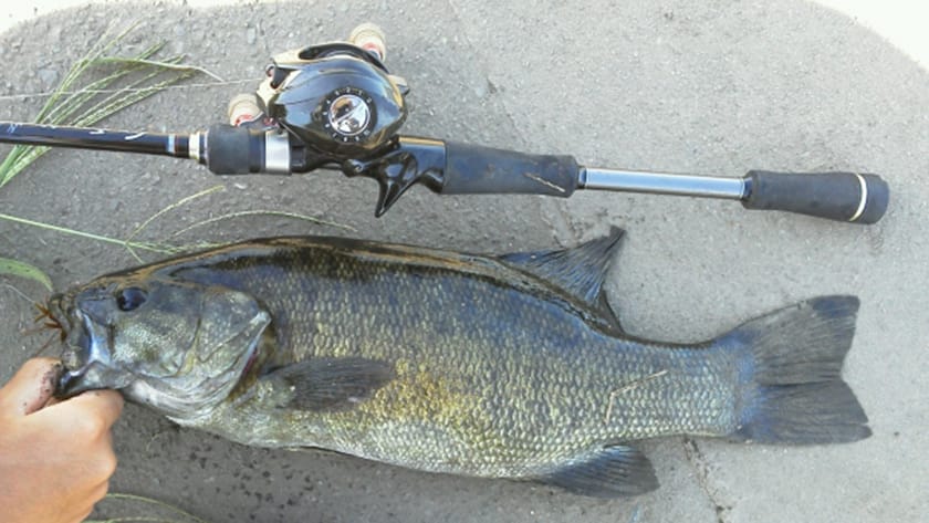 求められる条件｜スモールマウスバス,ロッド,おすすめ