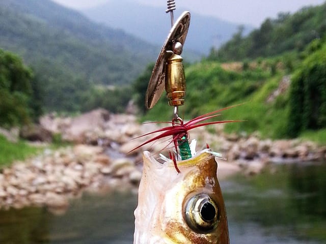 他ルアーの使い分け方｜渓流釣り,ルアー,スピナー,おすすめ,使い方