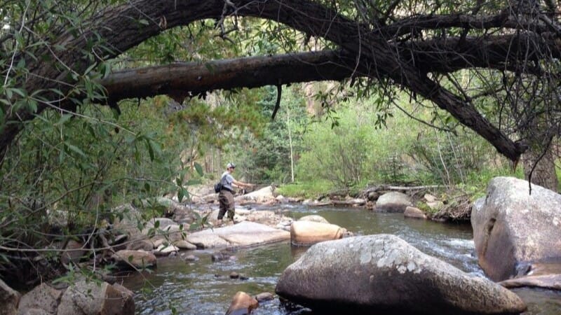 渓流釣り,釣り方,ルアー,ミャク釣り,テンカラ,フライ
