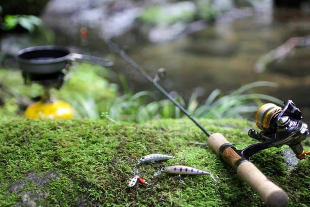 カラーと釣果の関係|渓流ルアー,カラー,選び方,釣り方