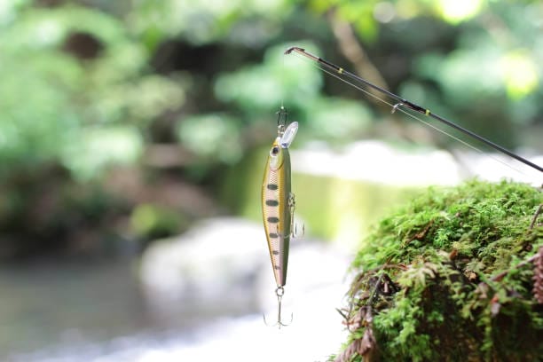 種類｜渓流ルアー,ミノー,おすすめ