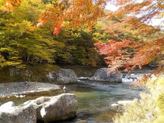 9月,秋,終盤|渓流釣り,時期,春,夏,秋